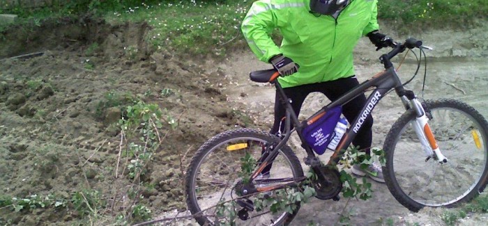 Riccardo ha disboscato