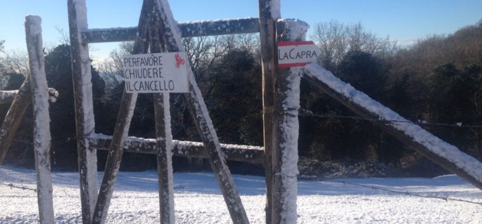 Lo spettacolo della neve nel Veio Bike Park