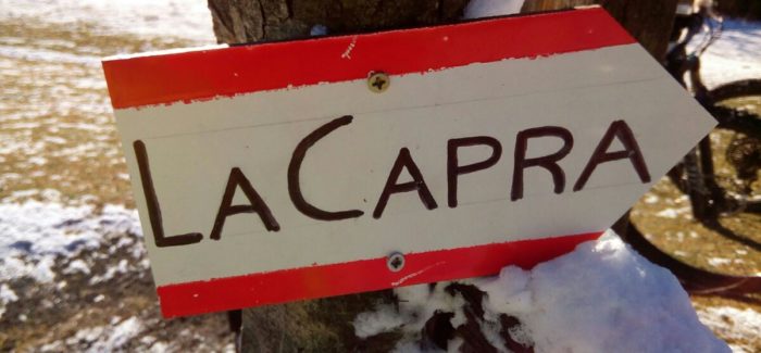 Nuovo trail Capra nel Veio Bike Park