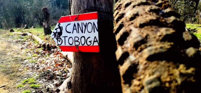 Su e giù per i trails delle Valli del Sorbo