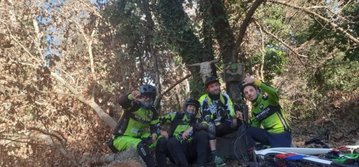 Macchiaroli post panettone