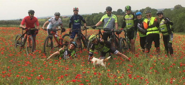 Pasquetta tra i papaveri di Veio